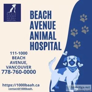 Full-service Veterinary Care in Vancouver