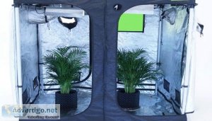 Grow tents for sale ? the perfect way to grow your plants indoor