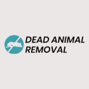 Get Instant Dead Dog Removal in London - Deadanimalremoval.uk