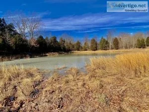 Selling 81- Acres of Land and a Timber Offering - Offered Indivi