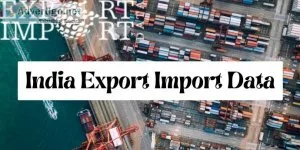 Get a brief on indian market scenarios with india export import 