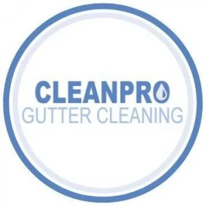 Clean Pro Gutter Cleaning Beacon