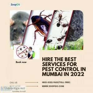 Hire the best services for pest control in mumbai in 2022
