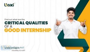 Any upcoming plans for an online internship program