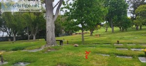 Pacific view memorial park burial plot