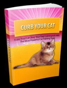 The Perfect Guide to make your cat listen to you.