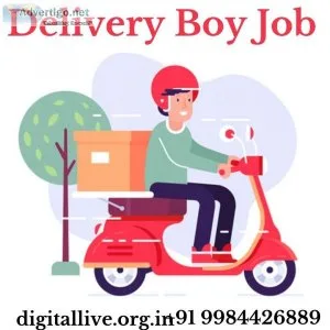 Delivery Boy Job Details can be Found Online