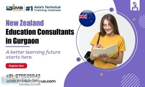 New Zealand Education Consultants in Gurgaon - AbGyan