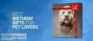 Get Best Gift For Your Beautiful Pets..