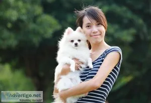 Professional Rebecca Eiler Dog Breeder and Show Handler