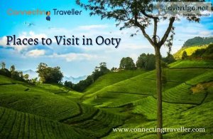 Places to visit in ooty