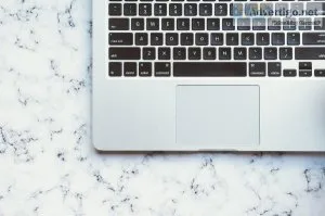 Hiring Social Media Account Managers  IT Workers