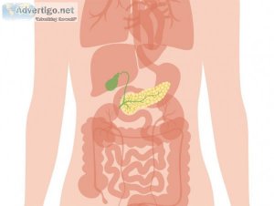 Pancreas transplant in pune | pancreas specialist doctor in pune