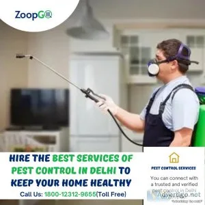 Hire the best services of pest control in delhi to keep your hom