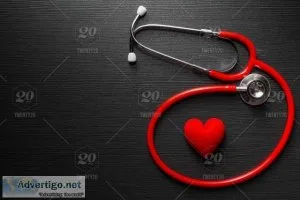 Animal Hospital Beaufort and Carteret County NC