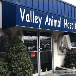 Compassionate quality vet care in Rialto CA and Bloomington CA