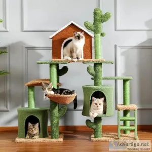 Pet Supply Store and more