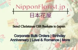 Christmas flowers japan at absolutely affordable prices