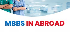 Best consultant for mbbs in abroad | navchetana education