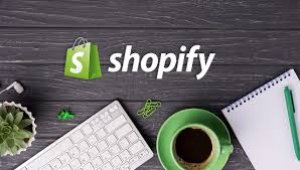 Shopify development company india
