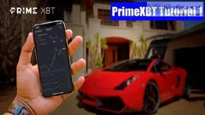 Auto-Copy Pro Traders - Best Online Trading Experience