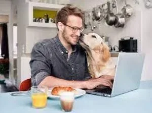 New Money Making System