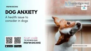 Dog Anxiety &ndash A Health Issue To Consider.