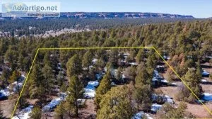 Peaceful Living Among The NM Pines