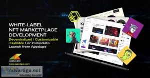 Get multi-chain nft marketplace development services
