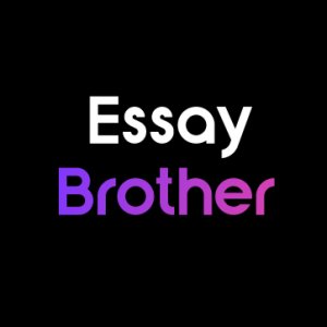 Essay Brother Writing Services