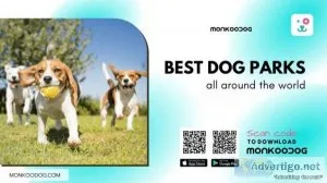 Best Dog Parks All Around The World