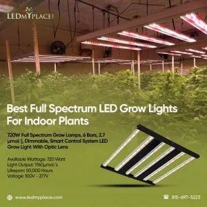 Get the Best Full Spectrum LED Grow Lights for Indoor Plants