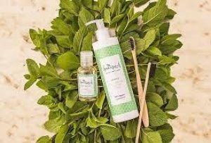 Buy Organic Castile Soap From Greenscents