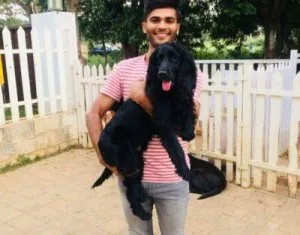 Best affordable dog boarding in India - Snouters