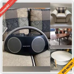 Oakville Moving Online Auction - Mississaga Street