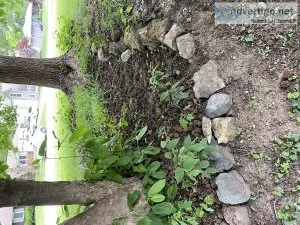 Free Landscaping Rocks All Sizes