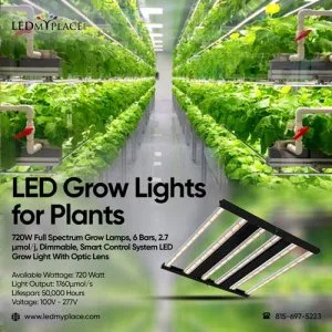 Order Now LED Grow Lights for Plants for Indoor Planting