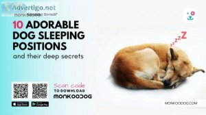 10 Adorable Dog Sleeping Positions And Their Deep Secrets