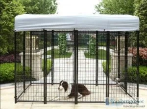 Buy dog crate in nz