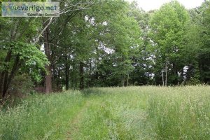 .56 acres for sale on Timberland Cir.