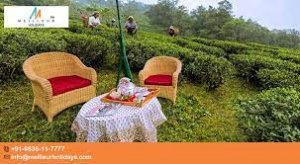 Darjeeling tea garden stay - meilleur holidays