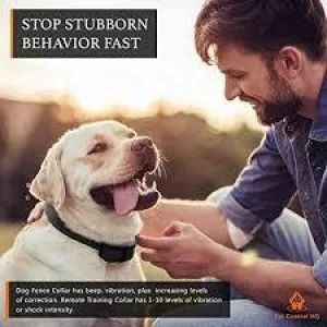 Buy dog boundary fence