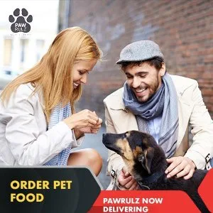 Get the best creamy treats for cats online from Pawrulz