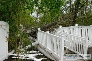 CLE Tree Service
