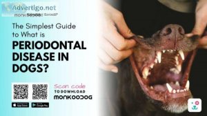 The Simplest Guide To What Is Periodontal Disease In Dogs
