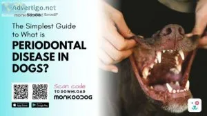 The Simplest Guide To What Is Periodontal Disease In Dogs