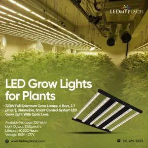 Grab the Deal LED Grow Lights for Plants at Attractive Prices