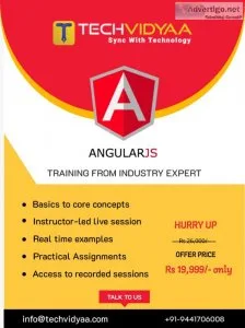 Angular js