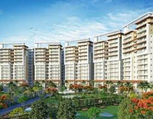 Shubh call it home | 3bhk apartment | viman nagar | pune