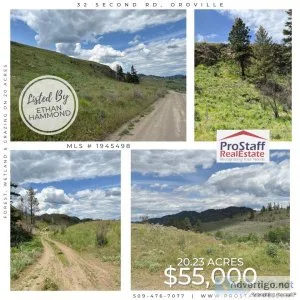Forest Wetland and Grazing on 20 Acres